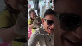 Billi Massage In Phuket  #shorts #youtubeshorts #rjpraveen #comedy #phuket