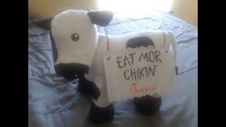 First Day At Chick Fil A (My experience)