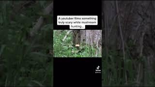 Terrifying Things Filmed In The Woods