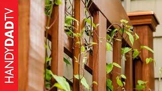 Build a DIY Trellis in a Weekend