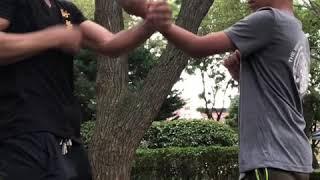 Dawadah Jr - Adie Gray Ip Ching Combat WC