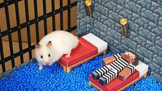 Hamster Escapes from the Minecraft Prison Maze