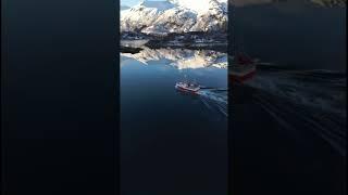 Холодные мысли о прекрасном #trend #tiktok #viral #live #nature #trending