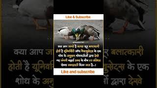 क्या आप यह बात पहले जानते थे कमेंट में जरूर बताएं। || #ashwanifactsworld #shorts