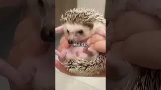 Funniest Ending Ever