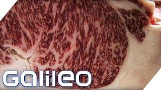 150 Euro pro Portion: So schmeckt das edelste Fleisch der Welt | Galileo | ProSieben