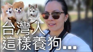 台灣人養狗 很誇張 ！avoir un chien à Taïwan... l Maryline 韻雯