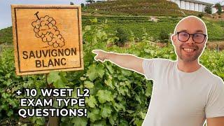 Sauvignon Blanc: Everything You Need to Know—WSET Level 2 in Wines (+10 WSET exam-type questions)