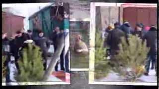 Водохреща 2014 Полтава