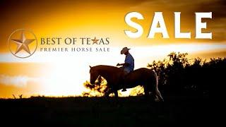 Sale LIVE @ the 2024 Best of Texas Premier Horse Sale