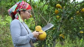 60 days of harvesting grapefruit and yam tubers to sell at the market and take care of pigs