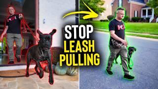 Stop Leash Pulling in Under 10 Minutes!