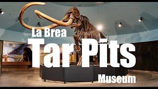 La Brea Tar Pits Museum: Complete Tour Dinosaur Bones Prehistoric  #1 Tourist Los Angles Attraction