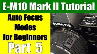 Olympus OM-D E-M10 II: Auto-focus Modes for Beginners Part 5