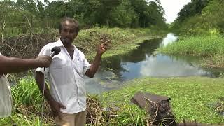 BEWONER TIMAL “DIE MAN GOPAL VERTELT LEUGENS, OVERTOLLIGE WATER STROOMT WEL WEG” - PRIME 21 MEI 2024