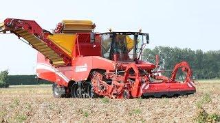 GRIMME TECTRON 415 | self-propelled Potato Harvester