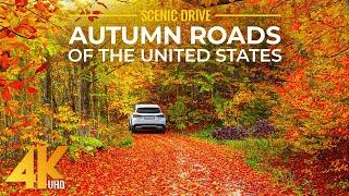 4K Autumn Scenic Roads of New Hampshire & Connecticut - Fall Foliage Drive in New England