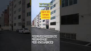 밀양시 삼문동 강뷰가 아주 멋진 집 강변 밀성 샷시포함 올수리 월세 1000/45