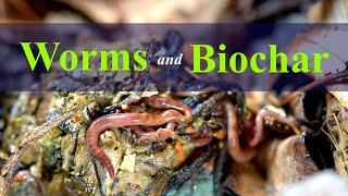 Worms and Biochar: Increase Microbial Bio-Diversity 2024