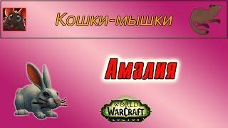 "Амалия", для достижения "Кошки-мышки"