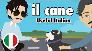 Learn Useful Italian: Portare a spasso il cane - Walk the dog