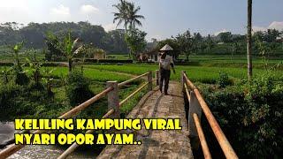 Pagi-pagi Keliling Kampung Viral di Tengah Sawah Bikin Betah... Nyari Lontong Opor Ayam Gak Ketemu