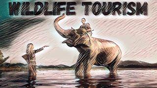 The Dark Side of Wildlife Tourism: Animal Suffering