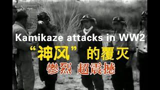 “神风”的覆灭 惨烈超震撼 Kamikaze attacks in WW2