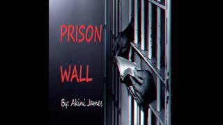 Prison Wall - Akini James (Audio)