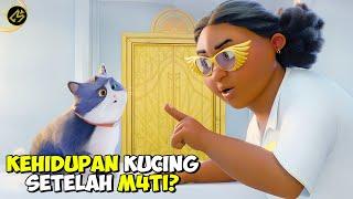 KISAH PENEBUSAN DOSA SEEKOR KUCING || Alur Cerita FIlm 10 LIVES (2024)