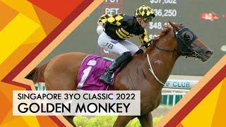 Singapore 3YO Classic 2022 (Golden Monkey)