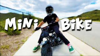 Wicked Fast Mini Bike!