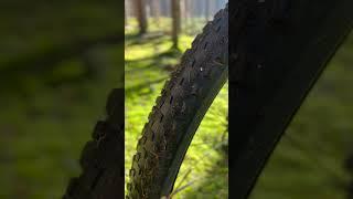 Mountainbike Bike YT Jeffsy PRO Custom Bike | SAINT | SRAM AXS | REVERB | Trail in the Woods 4K