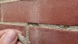 Brick Cracking??? Don't just Tuck-Point it, Fix IT!!!