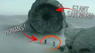 2 Humans Hunt by Super Giant Sandworm! This Scene is Definitely Insane!  | DUNE PART 2