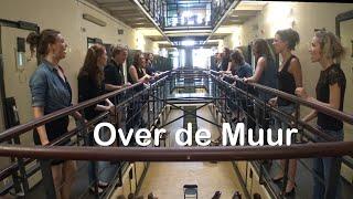 Over de Muur (Klein Orkest cover) - Divina Close Harmony