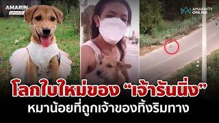 โลกใบใหม่ "เจ้ารันนิ่ง" ลูกสุนัขถูกทิ้งข้างทาง | อมรินทร์อัปเดต