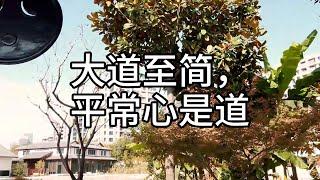 7.大道至简，平常心是道《禅门公案》