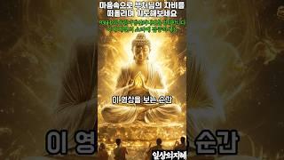 이 영상을 보는 순간, 부처님의 빛이 당신을 감쌉니다   #부처님말씀 #자비의빛 #마음의평온 #불교명상 #부처님의가피 #영혼의정화 #마음치유 #삶의지혜 #936hz #나무아미타불
