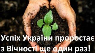 Проблема, причини, шляхи подолання бідності в Україні і досягнення успіху