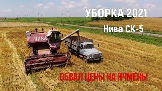 Уборка 2021! Битва за Урожай!