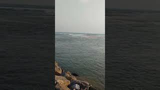 chandrabhaga sea beach #odisha #vlog #tour #shorts @subhovlog581