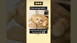 दुसर डोक#mrs #snehapatil #trending #shorts #daily #cat #catlover #viralcomedy #funny #viralshorts