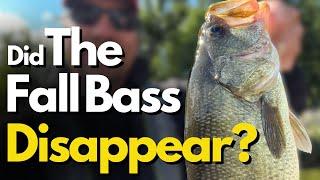 The Most Challenging Fall Bass Fishing Situation (And How to Beat It)