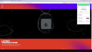 How to Use Keplr Wallet With Tamagotchi Zone