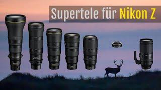 Vergleich – Bezahlbare Superteleobjektive für das Nikon Z-System – Kaufentscheidung [Deutsch]