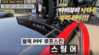 자태부터 남다른 블랙 PPF 루프스킨 스팅어편!!