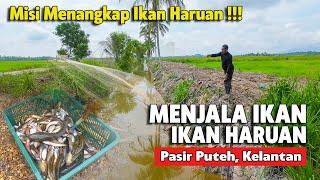 TANGKAP IKAN GUNA JALA | TEMPAT BEST MENJALA IKAN | DAPAT IKAN HARUAN IKAN SEPAT IKAN PEPUYU