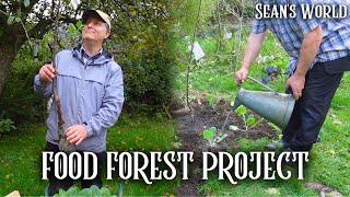 Creating a Low Maintenance Self-Sufficient Food Forest