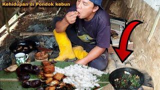 pilu.!!!Hidup Sendiri Di Gubuk Reot Makan Pun Sangat Sederhana Se'adanya Tanpa Ikan Asinpun Jadi